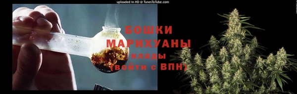 ГАЛЛЮЦИНОГЕННЫЕ ГРИБЫ Абаза