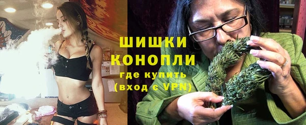 ГАЛЛЮЦИНОГЕННЫЕ ГРИБЫ Абаза