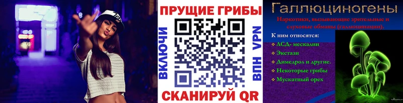 Псилоцибиновые грибы прущие грибы  Тбилисская 